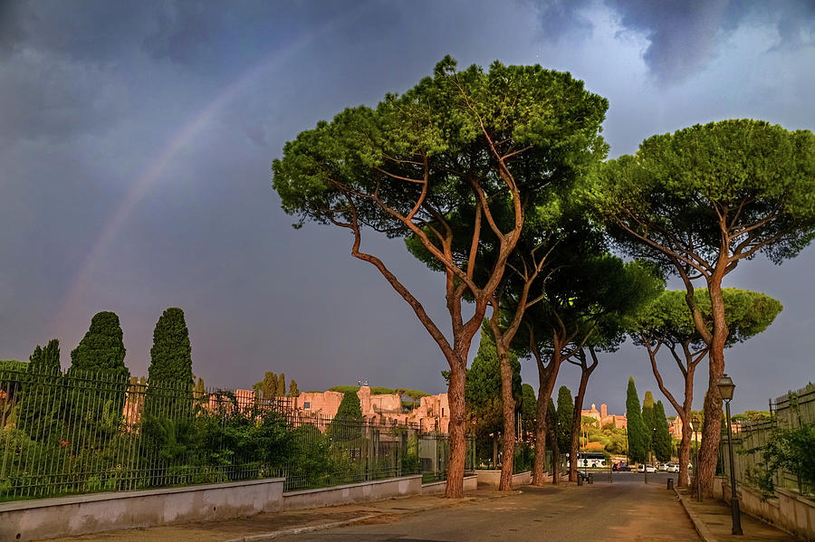 Italian Vacations - Rome Historic Center - Pine Trees and Rainbow 1 Photograph by Jenny Rainbow