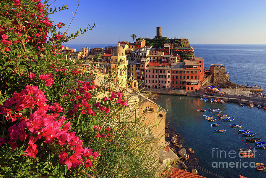 Italy, Liguria, Cinque Terre Photograph by Davide Carlo Cenadelli - eStock Photo