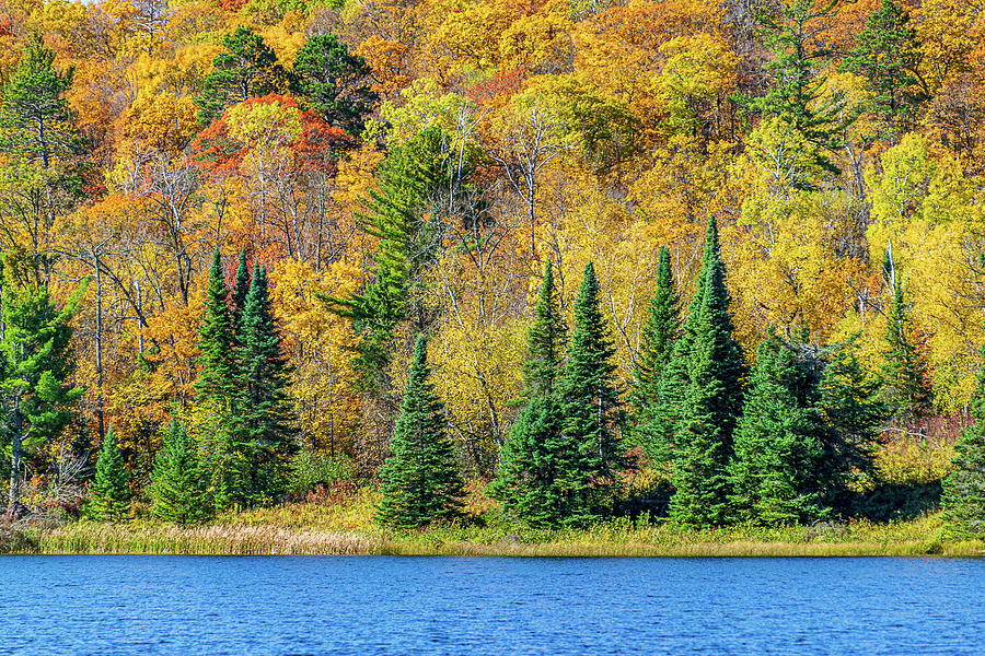 Itasca Autumn Photograph by Flowstate Photography