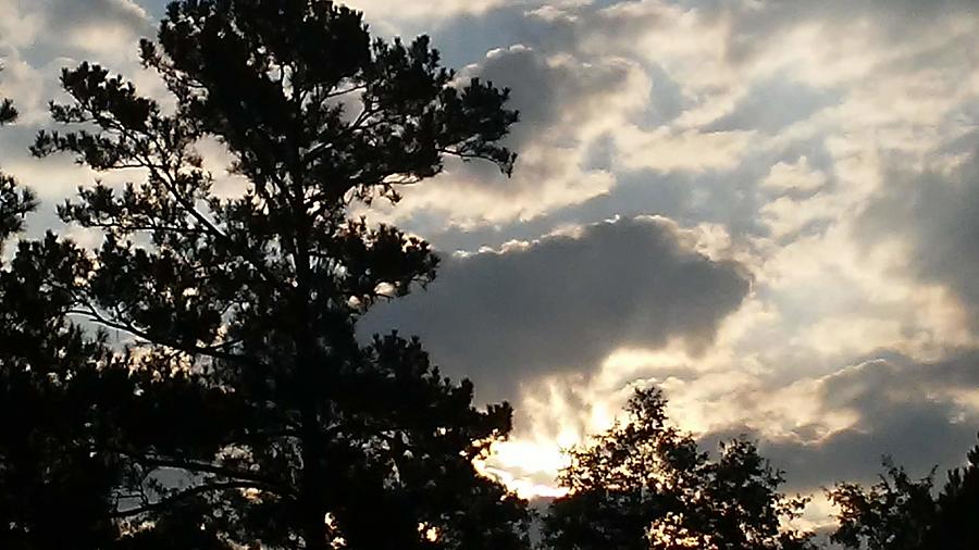 Its  A Dog Cloud Photograph by Belinda Lee
