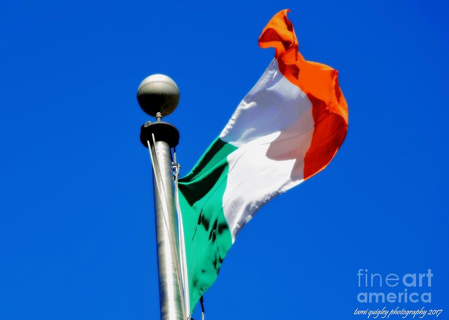Its A Great Day For The Irish Photograph by Tami Quigley