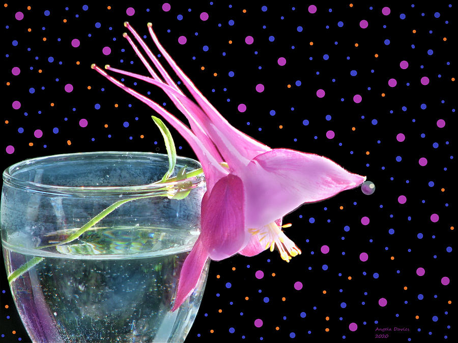 Still Life Photograph - Its A Party by Angela Davies