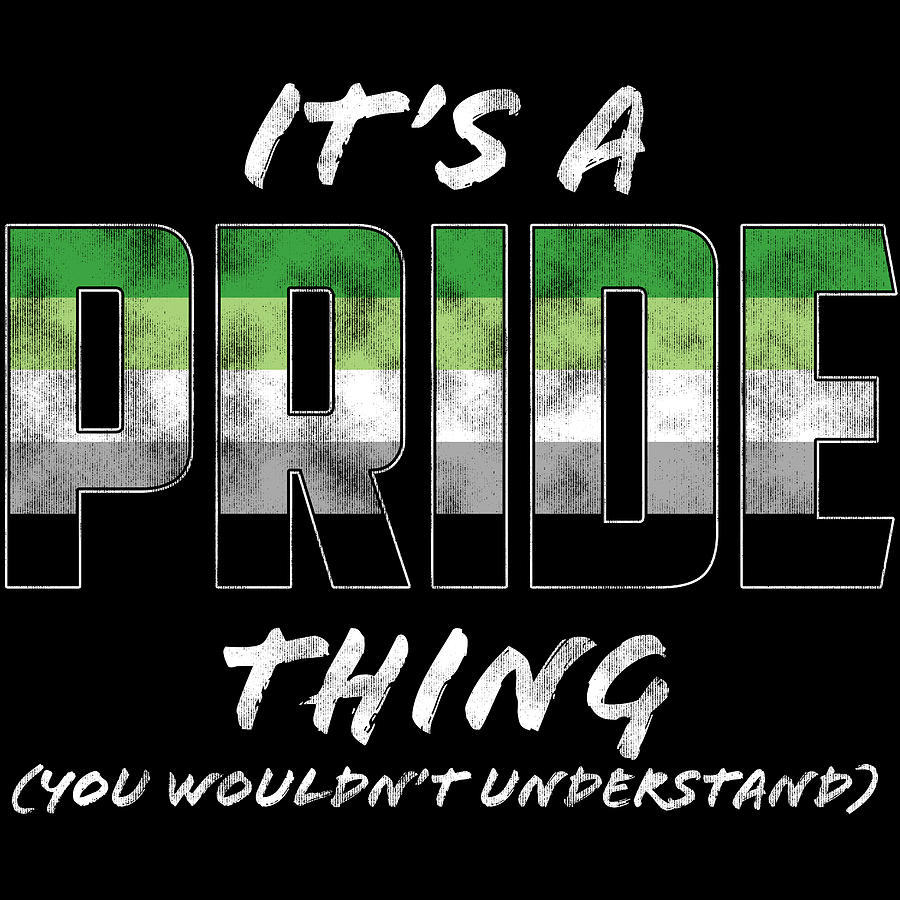 Its a Pride Thing Aromantic Pride Flag Digital Art by Patrick Hiller   Pixels