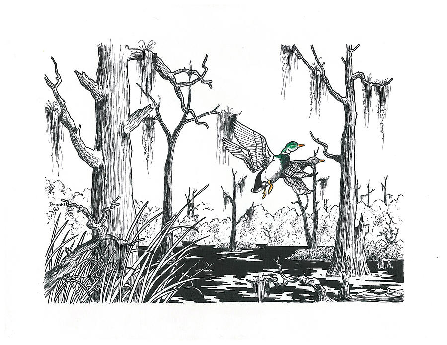 Details 72+ swamp sketch best - in.eteachers