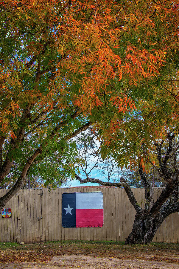 Its a Texas Fall Yall Photograph by Lynn Bauer