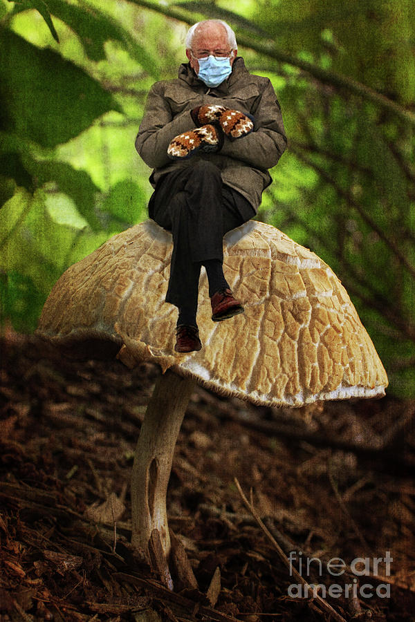 Mushroom Photograph - Its All About Balance by Barbara McMahon
