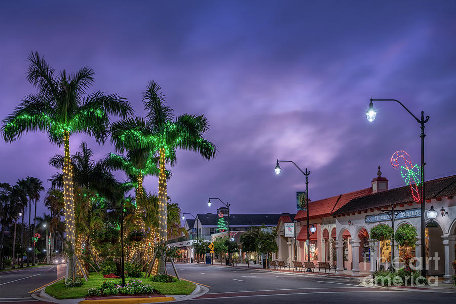 It's Christmas in Venice, Florida 2 Photograph by Liesl Walsh Pixels