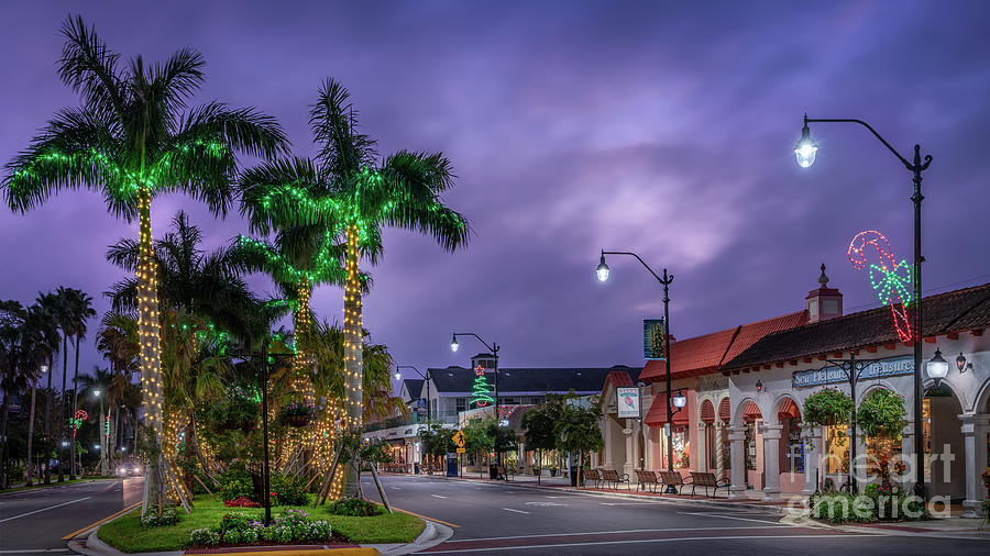 It's Christmas in Venice, Florida Photograph by Liesl Walsh Pixels