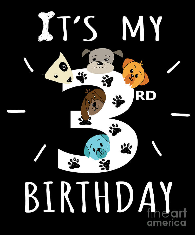 Boys 3rd  Birthday Card BNIP dog