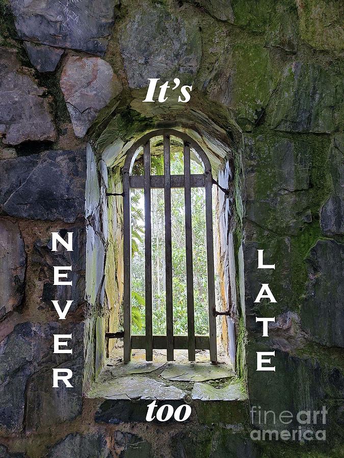 Its never too late Photograph by Sharyl Vallone