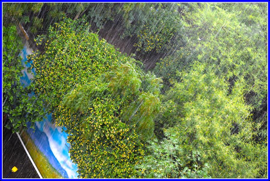 Its Raining Photograph