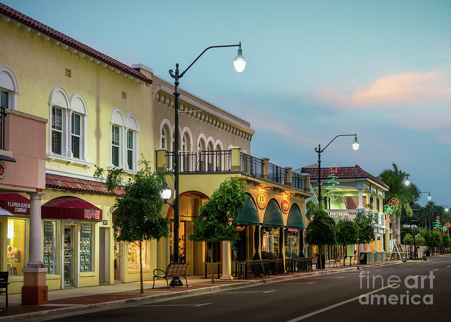 It's Starting To Look Like Christmas in Venice, FL Photograph by Liesl