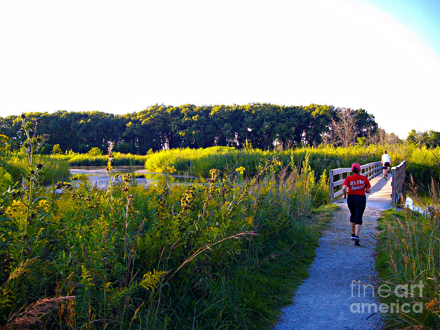 Its The Sauce - Wetlands Trail Photograph by Frank J Casella
