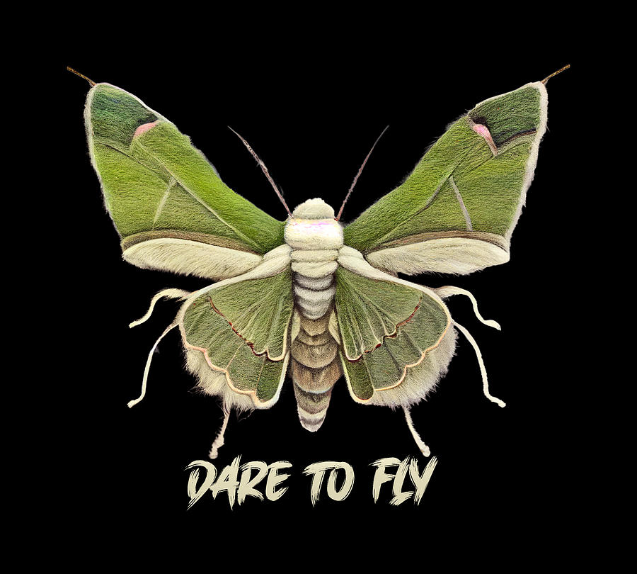 Its Time to Fly Giant Silk Moth Luna Transformation Digital Art by OLena Art