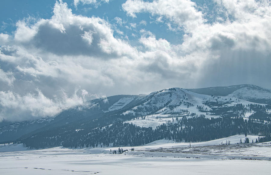 Its Winter in Yellowstone Photograph by Marcy Wielfaert