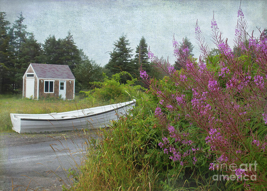 Ive Got A Boat in Grand Manan Photograph by Barbara McMahon