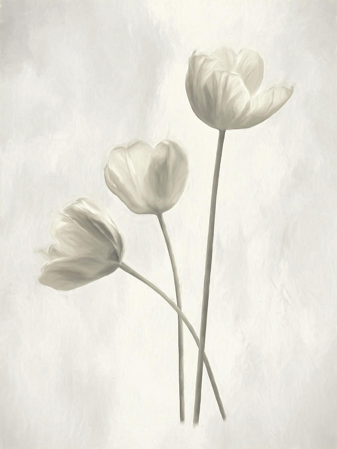 Ivory Tulips Mixed Media by Lori Deiter