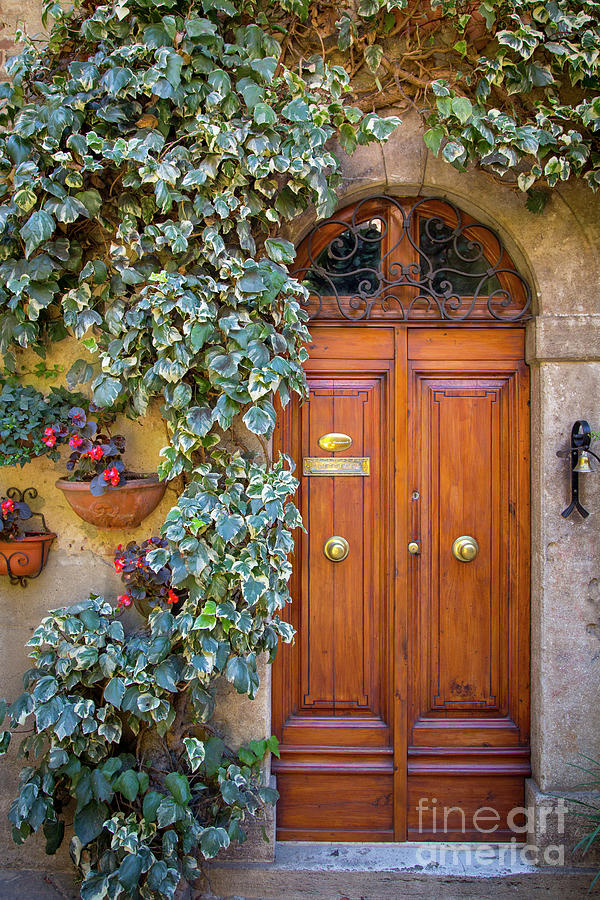 Ivy Framed Ornate Door - Tuscany Italy Photograph by Brian Jannsen