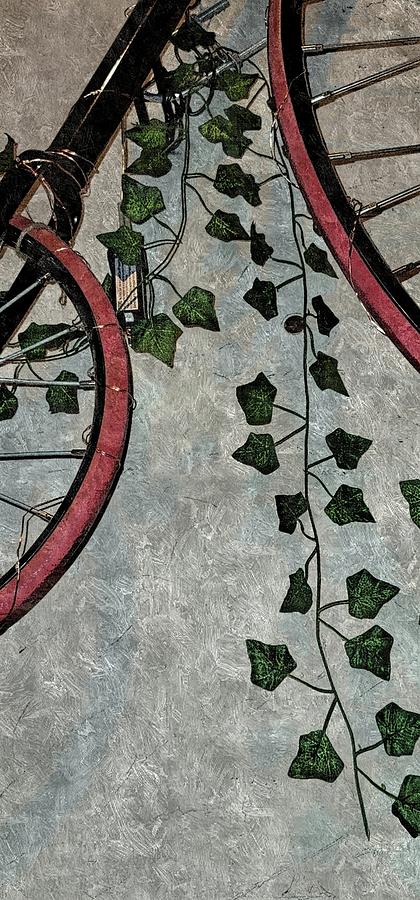 Abstract Photograph - Ivy and Spokes  by Kathy Barney