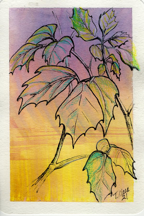 Ivy at Dawn Painting by Tammy Nara