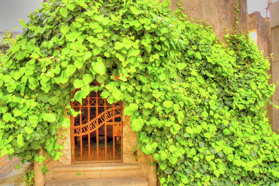 Ivy-Covered Mausoleum Photograph by Deborah Smolinske