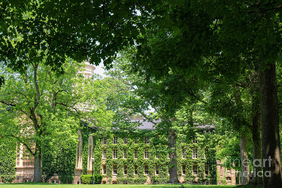 Ivy Covered Nassau Hall Photograph by Bob Phillips