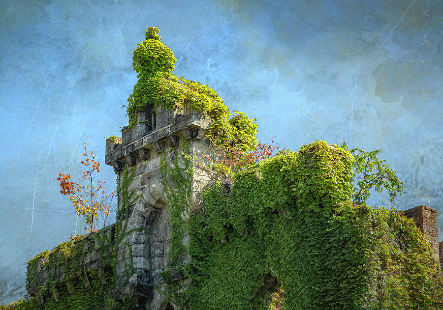 Ivy Covered Renwick Ruin Photograph by Cate Franklyn