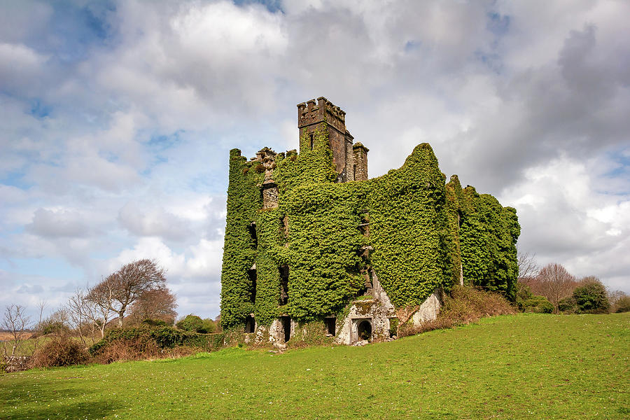 Ivy Covered ruined castle Ireland Photograph by Pierre Leclerc Photography