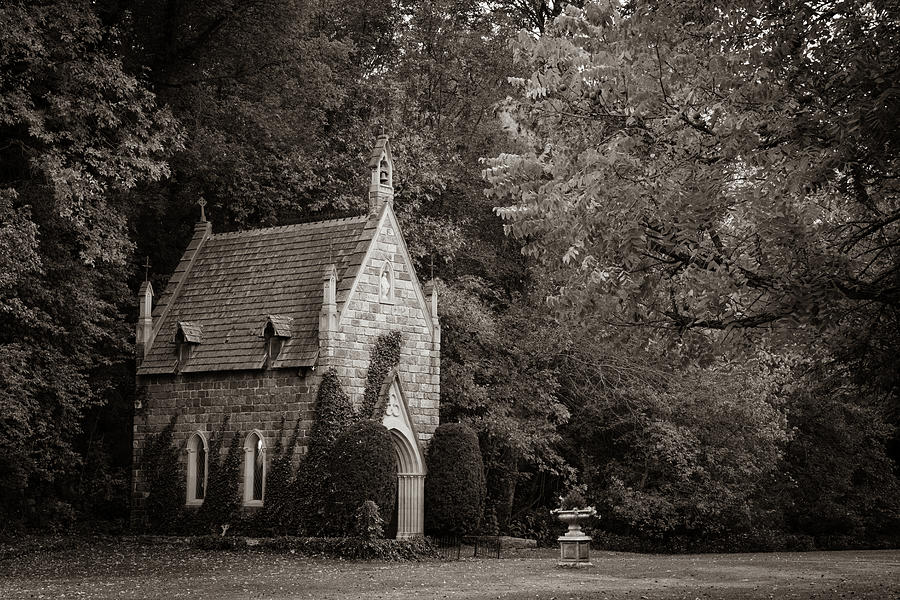 Ivy Covered St Catherines At Bell Gable In Sepia Photograph by Gregory Ballos