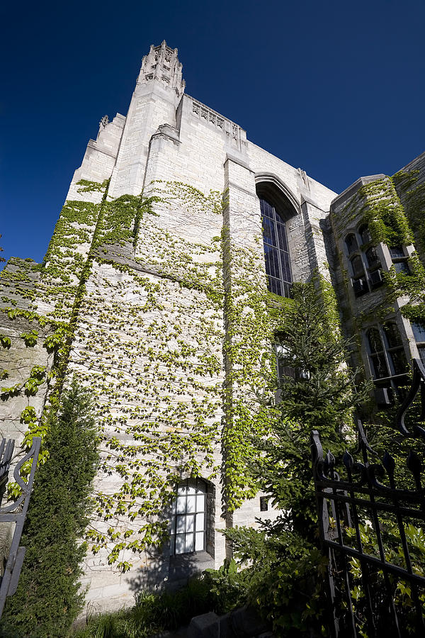 Ivy Covered University library Photograph by Stevegeer