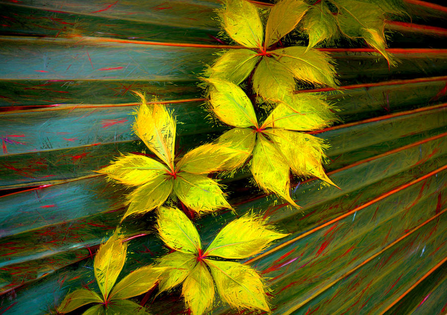 Ivy Draping Palmetto Palm Mixed Media by Rosalie Scanlon