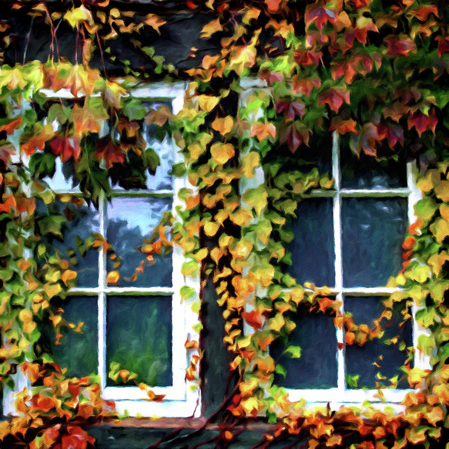 Ivy Framed Window Painting by Susan Maxwell Schmidt
