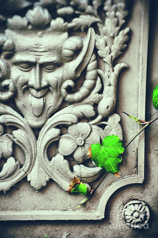 Ivy leaf and satyr Photograph by Silvia Ganora