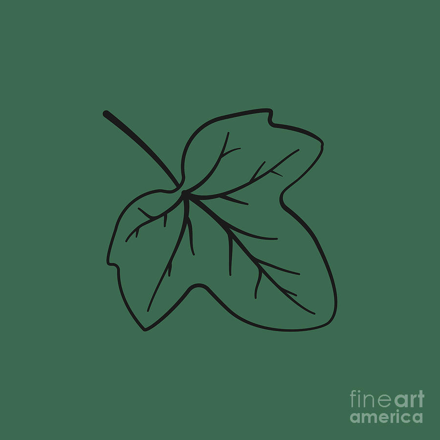Ivy Leaf Digital Art