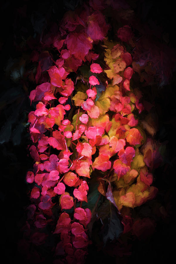 Ivy of Autumn Photograph by Philippe Sainte-Laudy