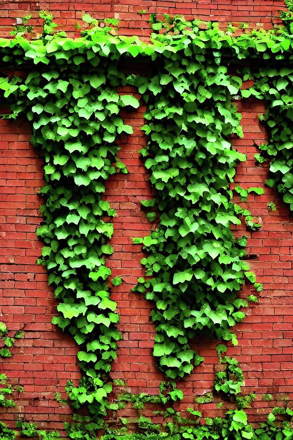 Ivy on Brick Digital Art by Nathan Merrill - Fine Art America