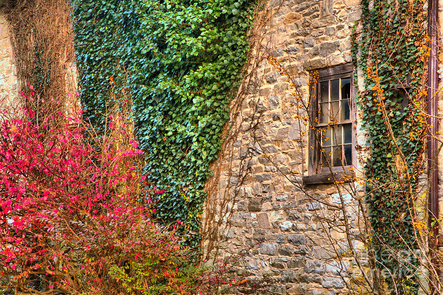 Fall Photograph - Ivy On The Old Stone Mill by Adam Jewell