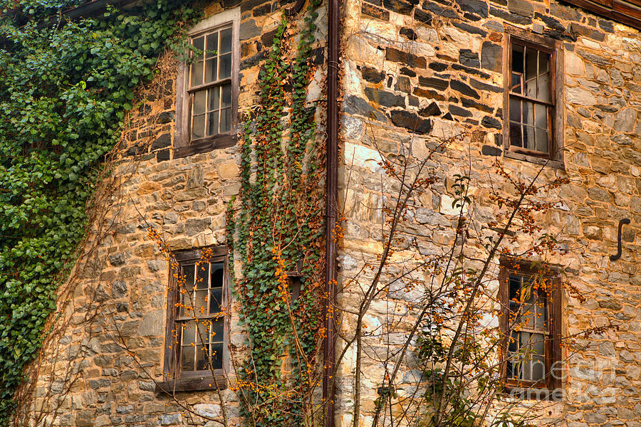 Fall Photograph - Ivy On The Stone Walls by Adam Jewell