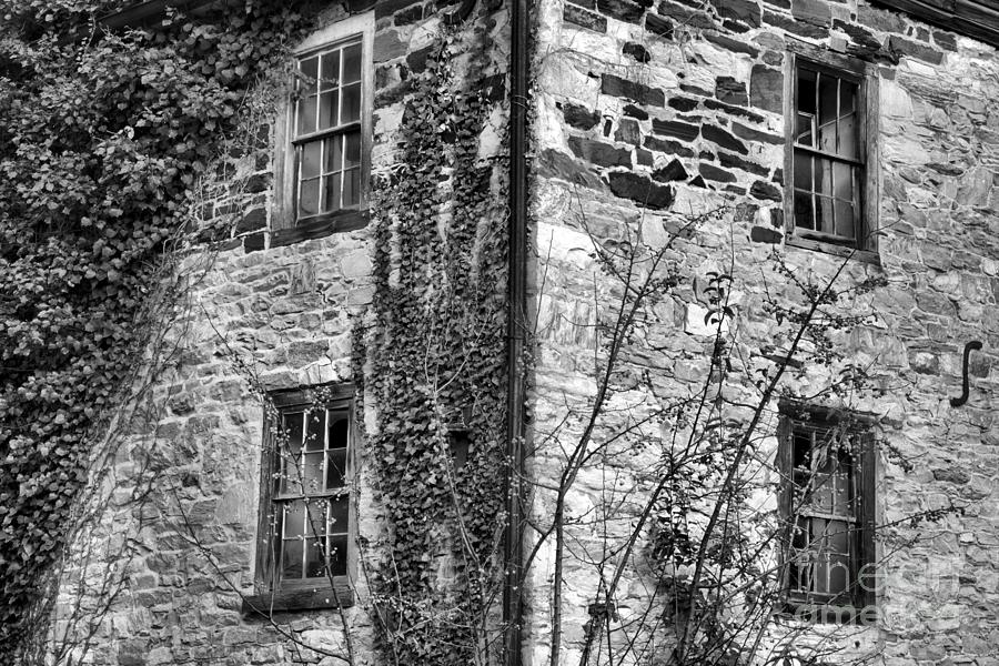 Fall Photograph - Ivy On The Stone Walls Black And White by Adam Jewell