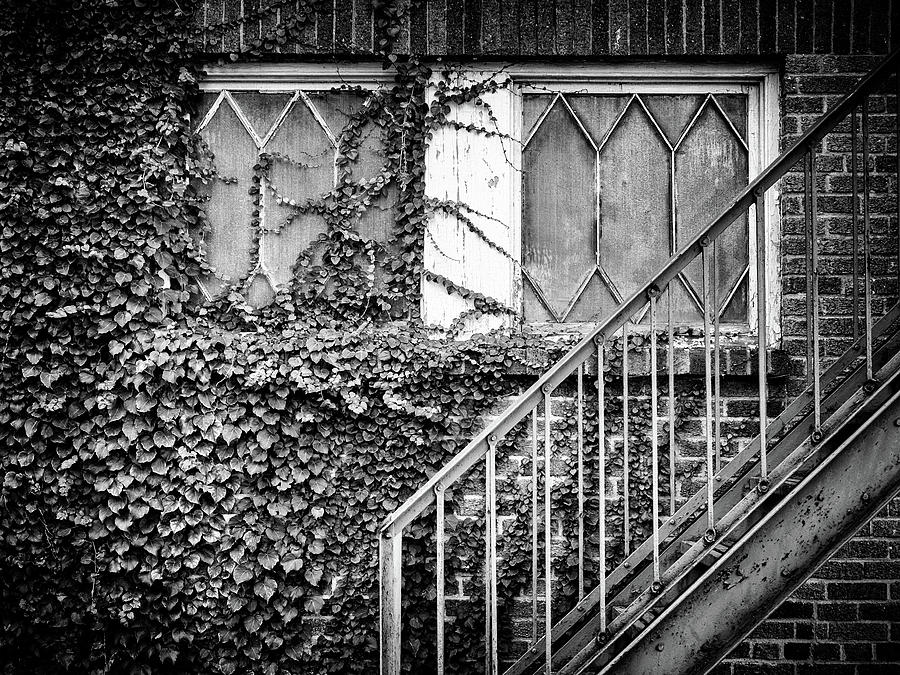 Ivy, Window And Stairs Photograph by Steve Stanger