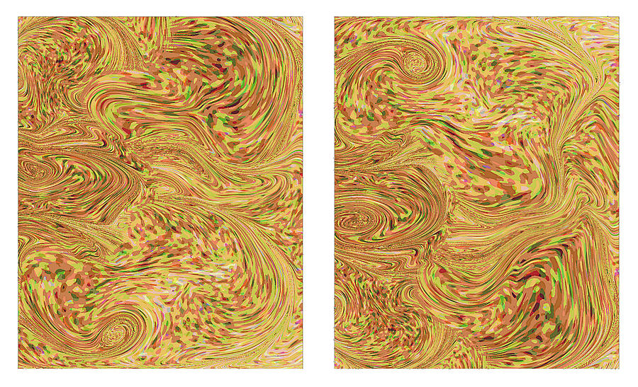 Iwarp Thin Swirls Abstract Diptich Original Fine Art Digital Art by G Linsenmayer