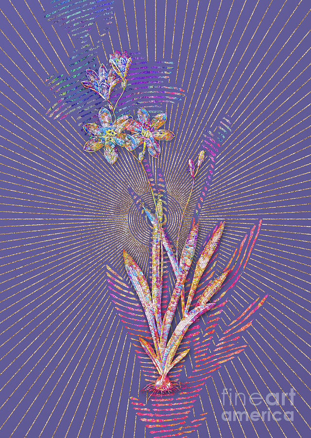 Ixia Grandiflora Mosaic Botanical Art on Veri Peri n.0212 Mixed Media by Holy Rock Design