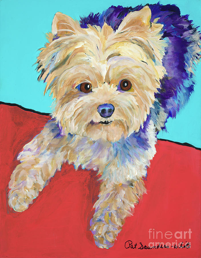 Yorkie Painting - Izzy by Pat Saunders-White