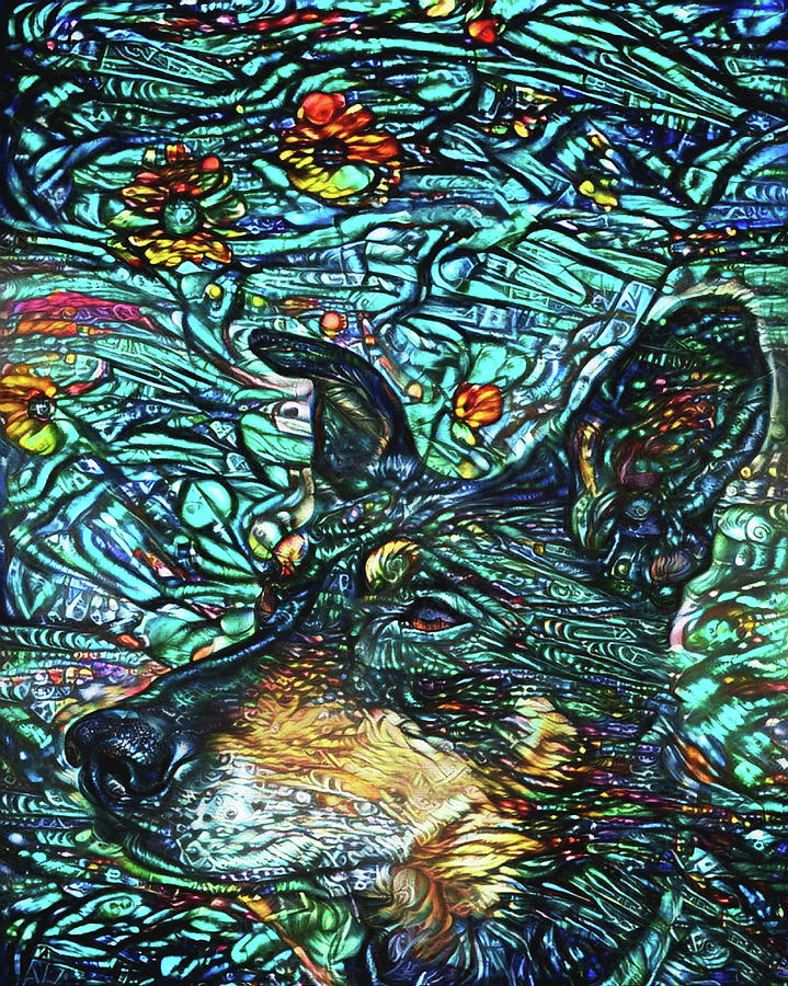 Dog Digital Art - Izzy the Australian Kelpie Rescue Dog by Peggy Collins