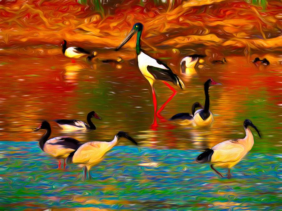 Jabiru Magpie Geese Ibis Ducks Photograph by Joan Stratton