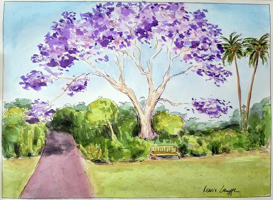 Jacaranda Tree Painting by Maria Langgle Fine Art America