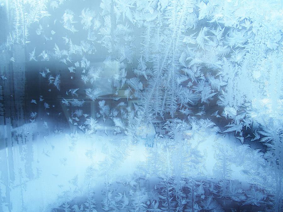 Jack Frost 2 Photograph by Sharon Ackley