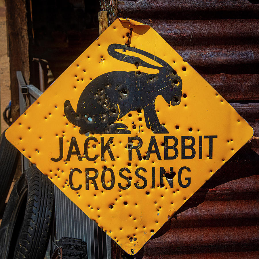Sign Photograph - Jack Rabbit Crossing Sign by Garry Gay