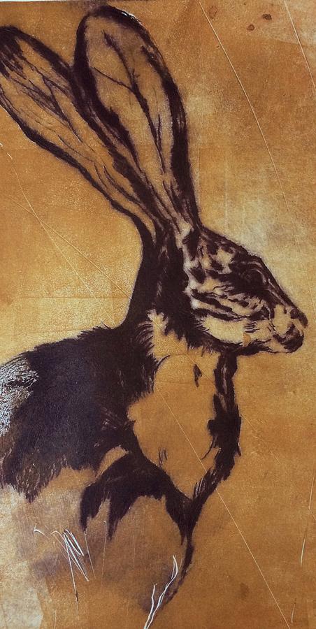 Jack Rabbit Drawing by Nancy Chipman - Fine Art America