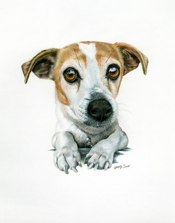 Jack Russell Painting by Greg Smith - Fine Art America